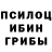 Галлюциногенные грибы прущие грибы Naidenov Valery