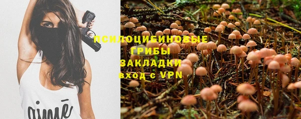 МДМА Дмитриев